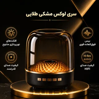 اسپیکر قابل حمل مدل LX2500 101816907